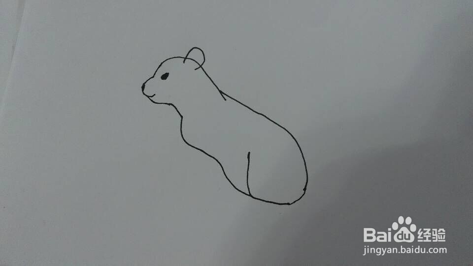 简单画--雌狮