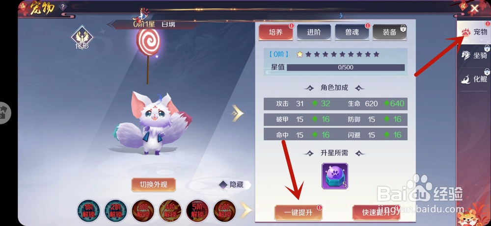 天姬变手游怎么升星宠物
