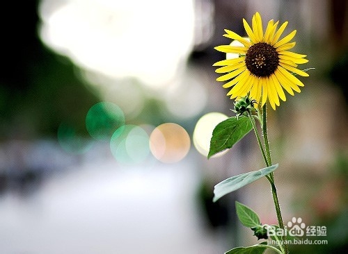 心情不好时放松的几个方法