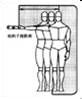 人体工程学——人体与室内