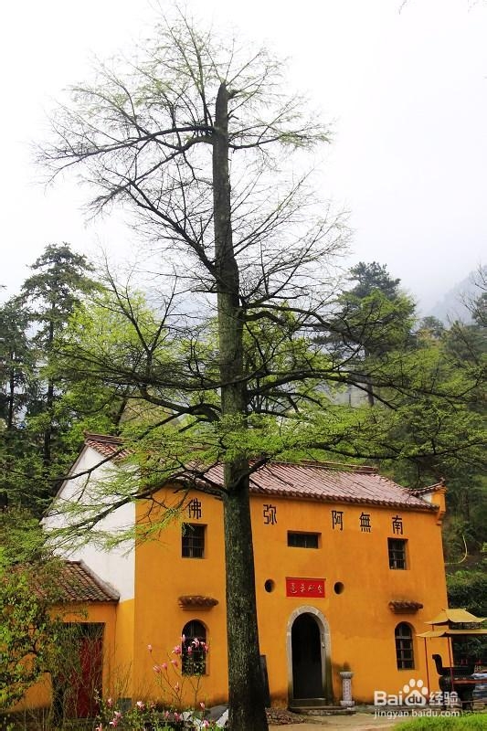 轻轻松松玩转九华山