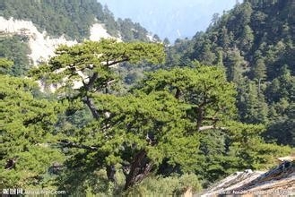 华山旅游攻略