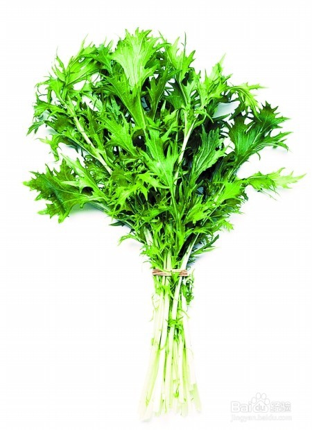 夏天驱蚊我有小妙招