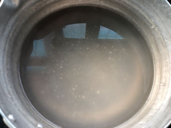 珍珠西米蜜豆椰汁