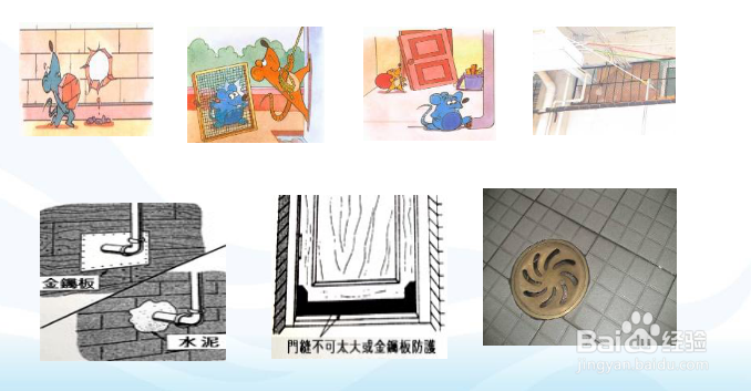 厨房有害虫怎么控制