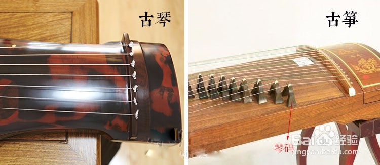 古琴和古筝有什么区别?哪一个更好学?