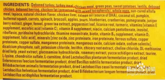 如何从成分标签看狗粮好与坏