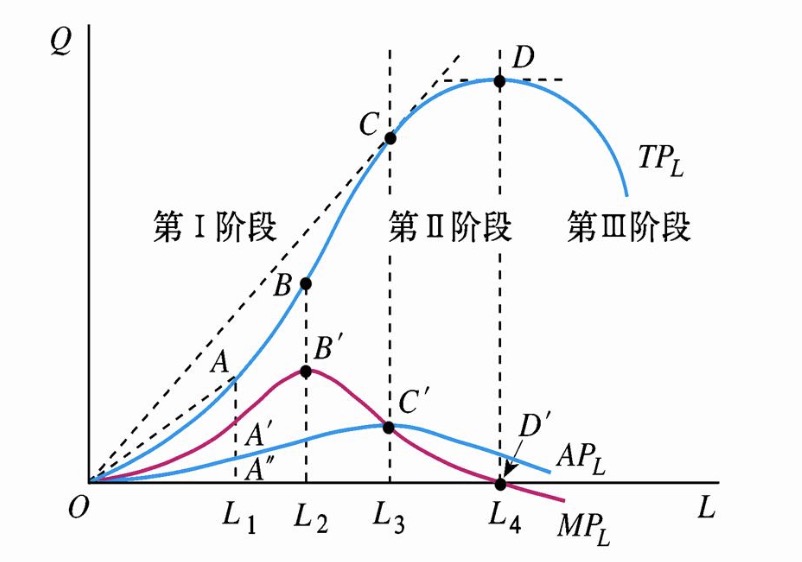 当总产量达到最大时，边际产量( )