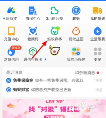 支付宝怎么查看培育的植物