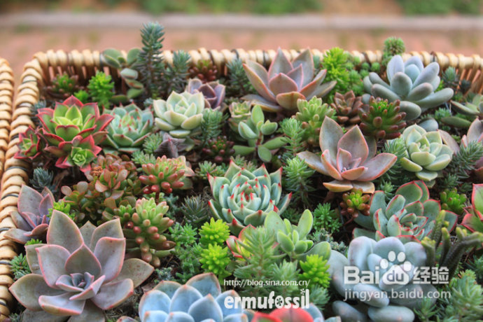 2012年6月23日 记录