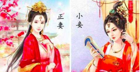 什么是嫡系和庶出