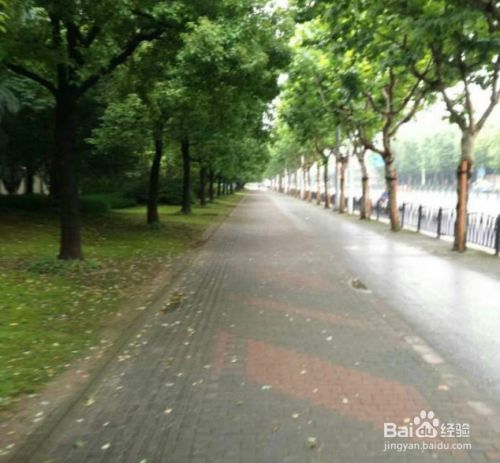 上海中山公园 景色 好美啊 百度经验