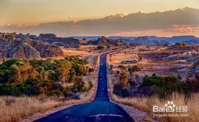 多肉植物怎么养