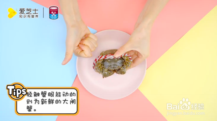怎样挑选新鲜大闸蟹