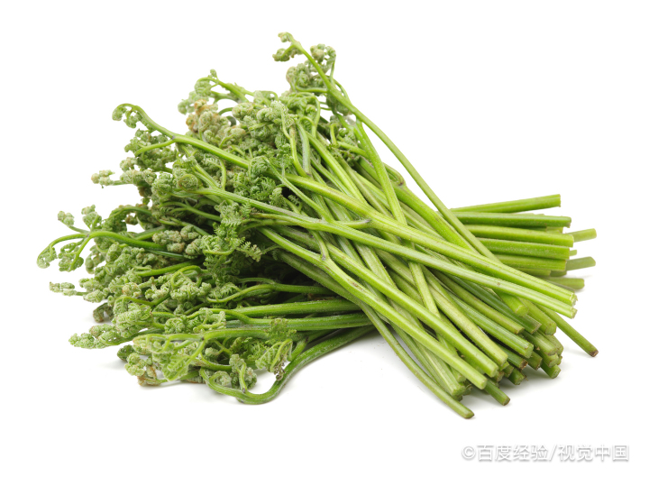野生蕨菜怎么处理才能吃