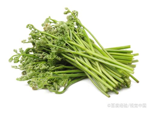 野生蕨菜怎麼處理才能吃