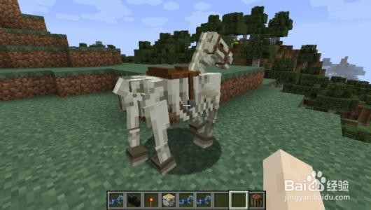 我的世界骷髅马怎么驯服