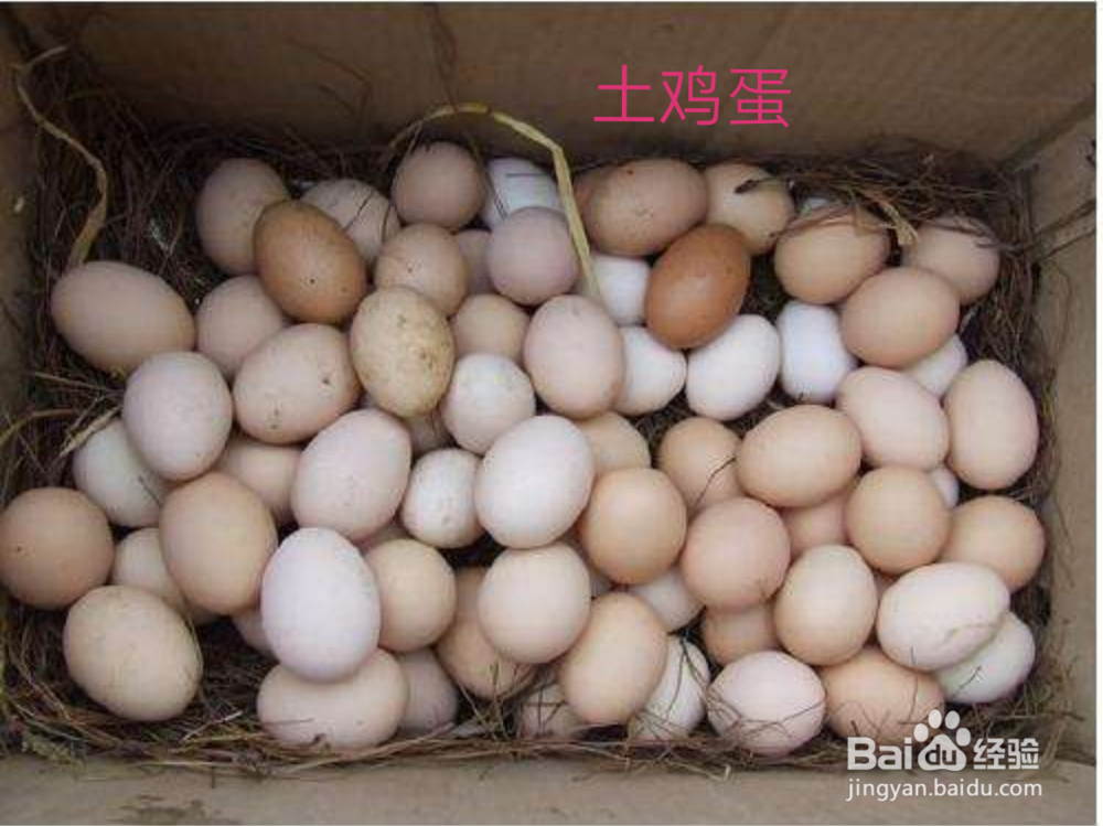 不同种类的蛋对人体都有哪些好处？