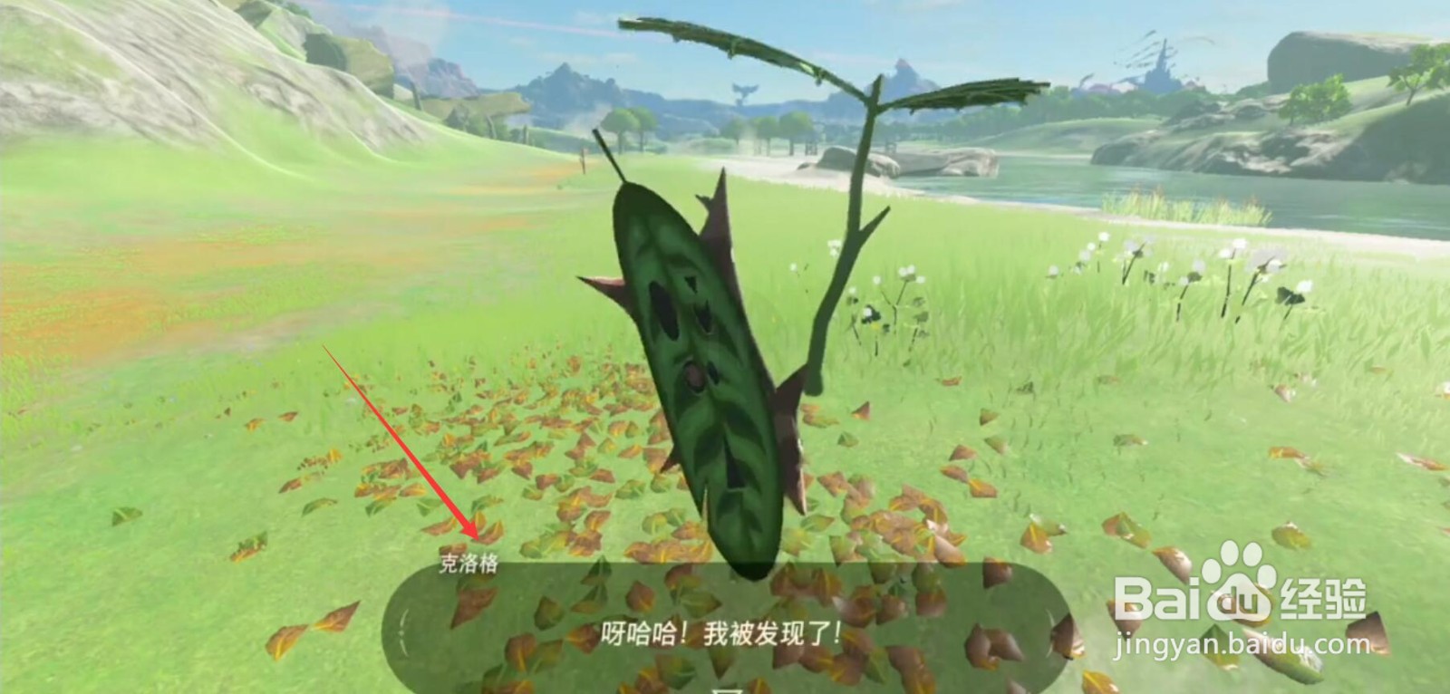 塞尔达克洛格果实收集方法