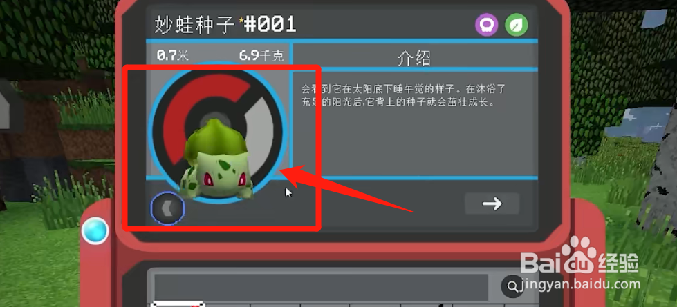 【我的世界宝可梦】怎么查看闪光精灵