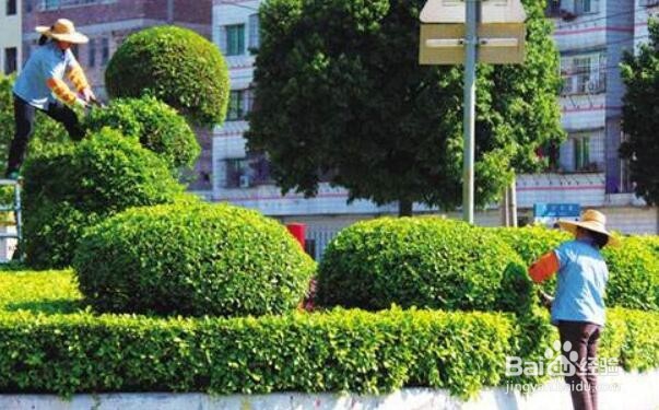 适合老年人从事的工作有哪些?