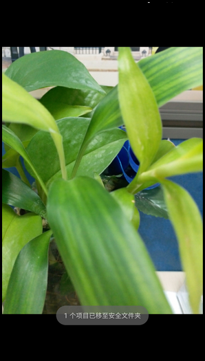 Galaxy C5 Pro SM-C5010(6.0.1)如何移动照片到安全文件夹?