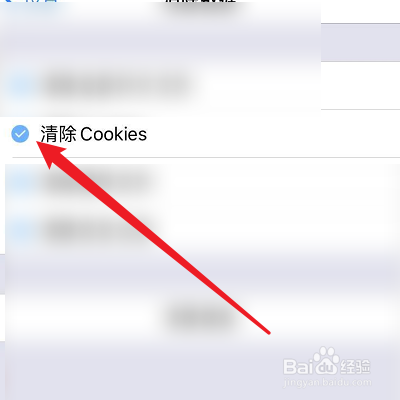 R浏览器的Cookies数据怎么清除