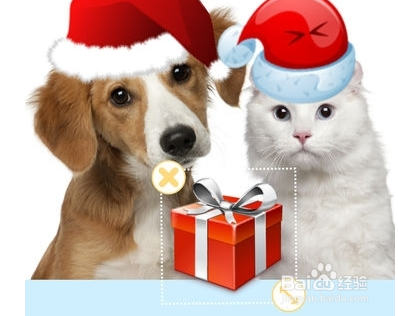 如何在微信头像上加圣诞帽