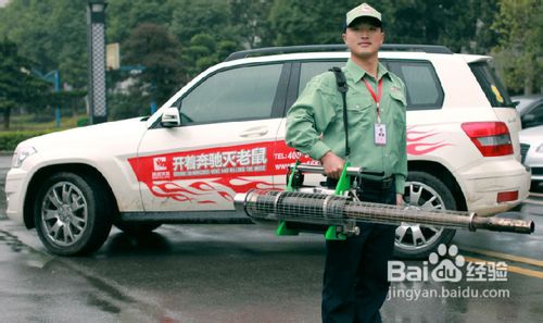 超市灭鼠方法