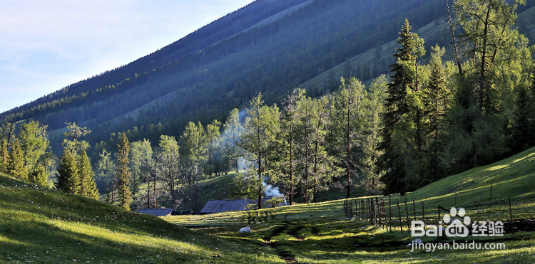 喀纳斯旅游攻略
