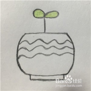 怎么画一盘幼苗简笔画