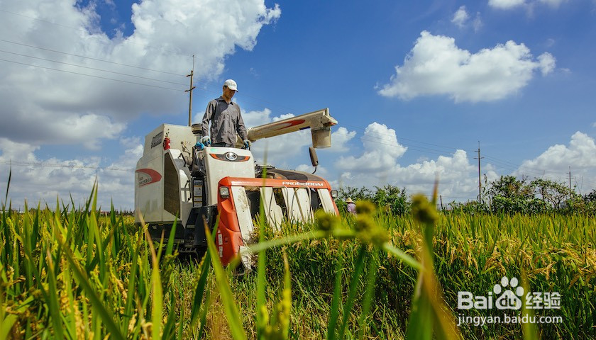 夫妻的共同财产有哪些？