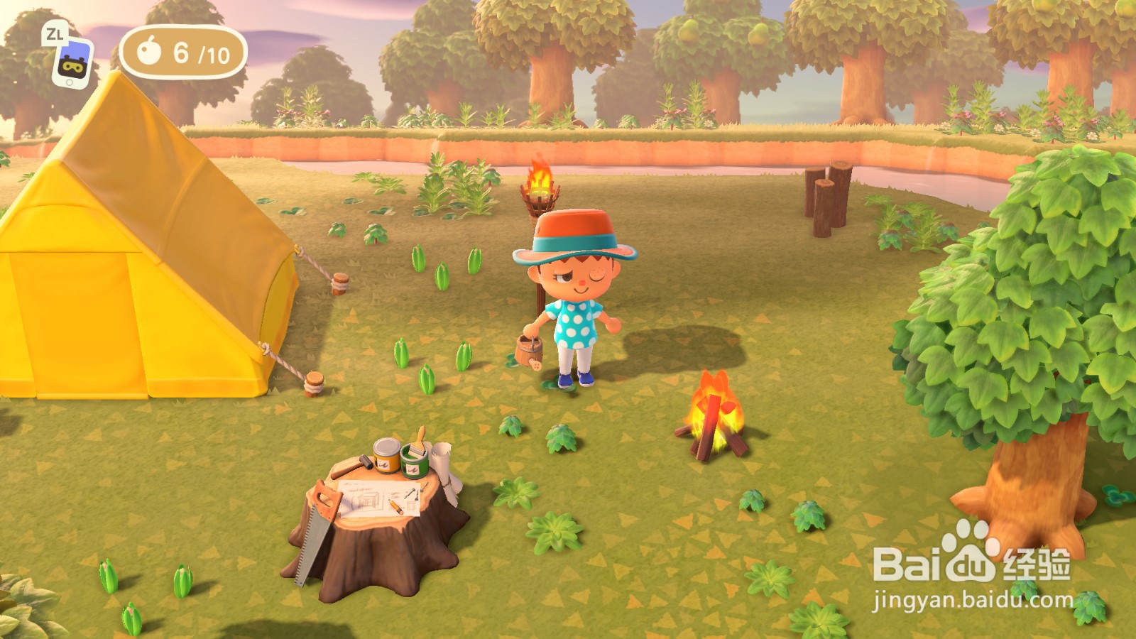 动物森友会怎么浇花