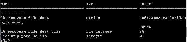 如何正确删除oracle归档文件解决ora-00257问题