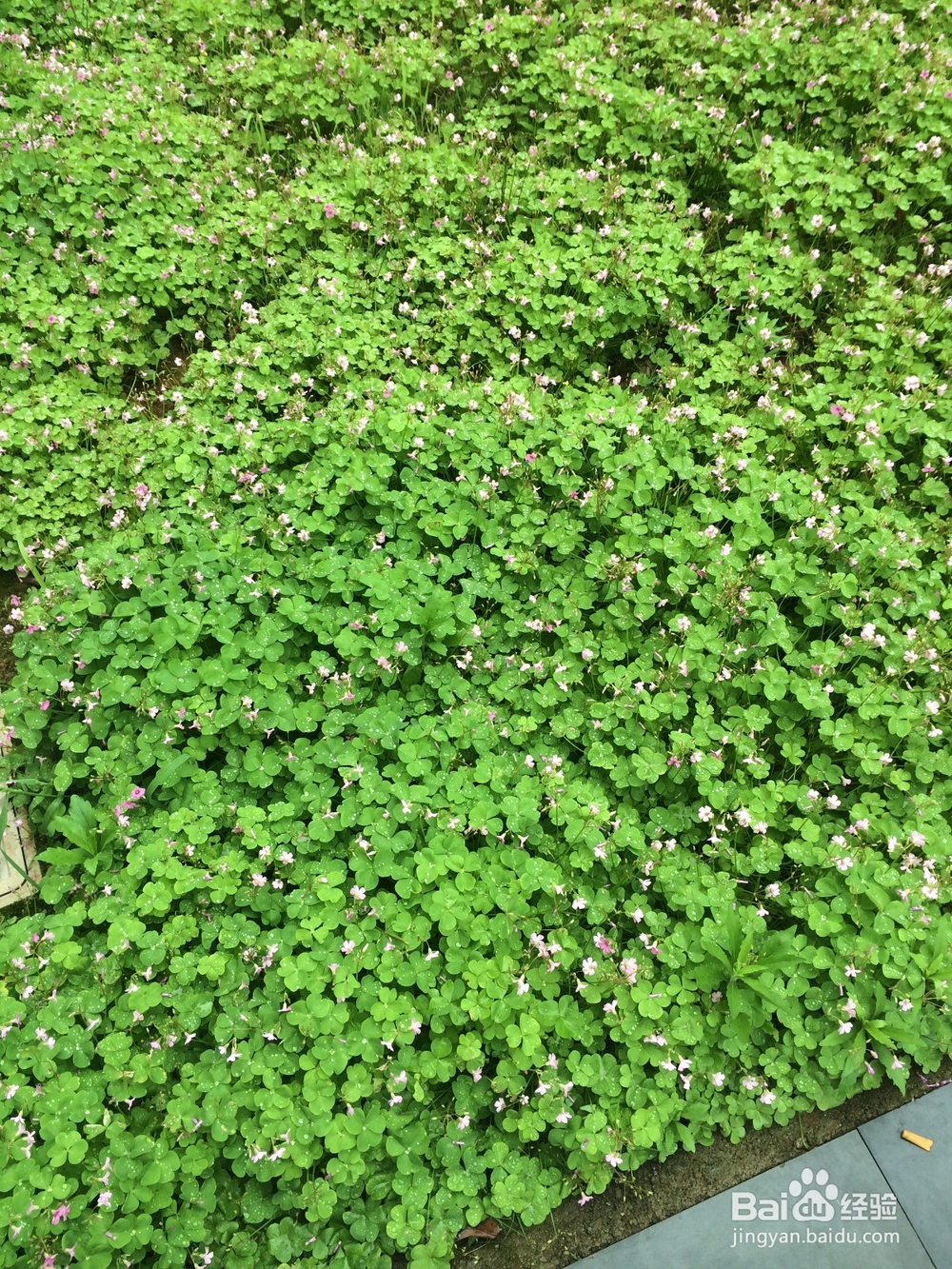 买车之前考虑的事