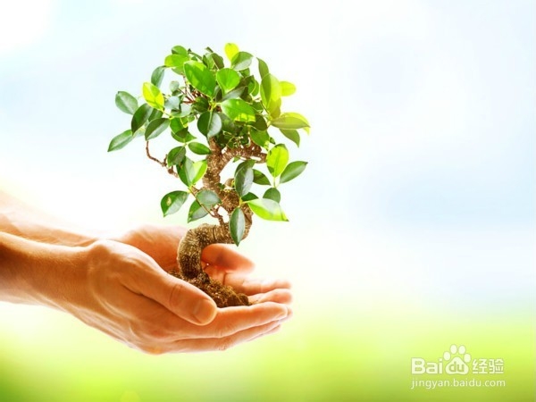 孩子总是沉溺于小说怎么办