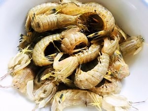 如何做麻辣皮皮虾