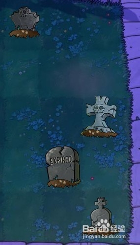 植物大战僵尸快速通关游戏攻略：[13]2-2.1