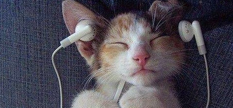 晚上失眠怎么办