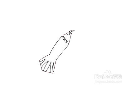 老鹰风筝的简笔画