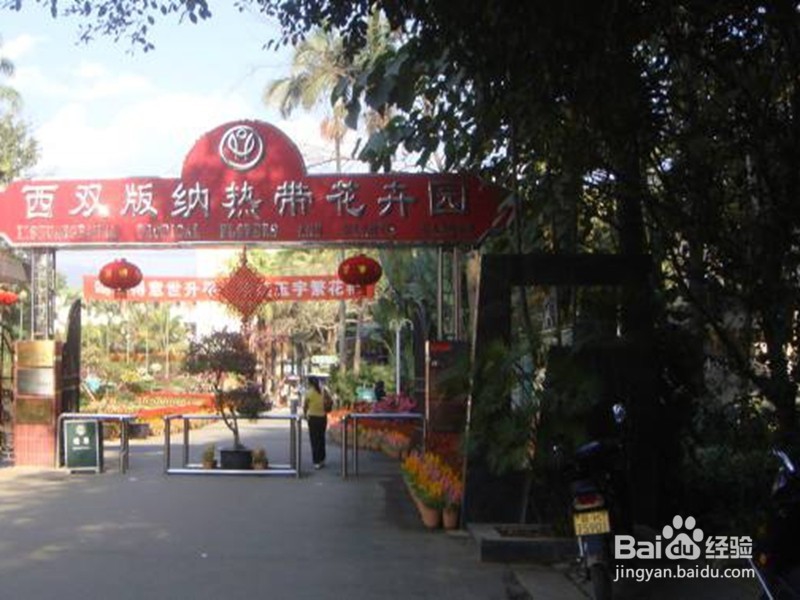 西双版纳景点介绍