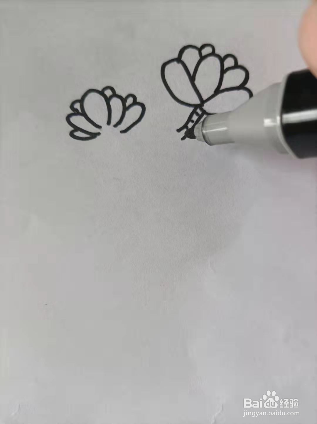 多肉的简笔画怎么画？