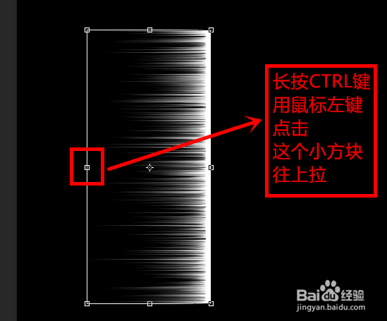 用Photoshop制作羽毛