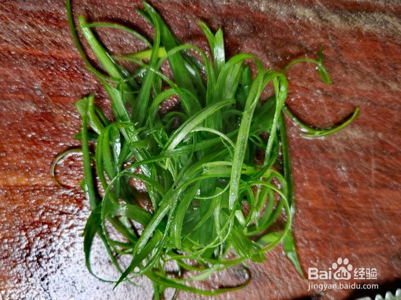 家常清蒸鲈鱼的做法