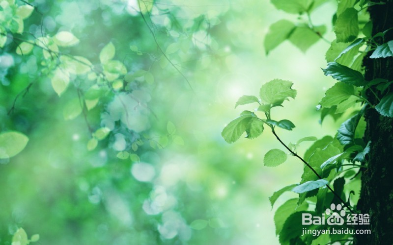 工作生活压力大怎样排解