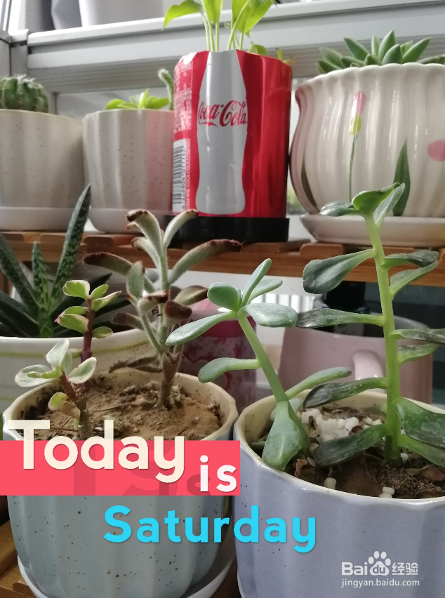 华为荣耀9拍照如何添加水印