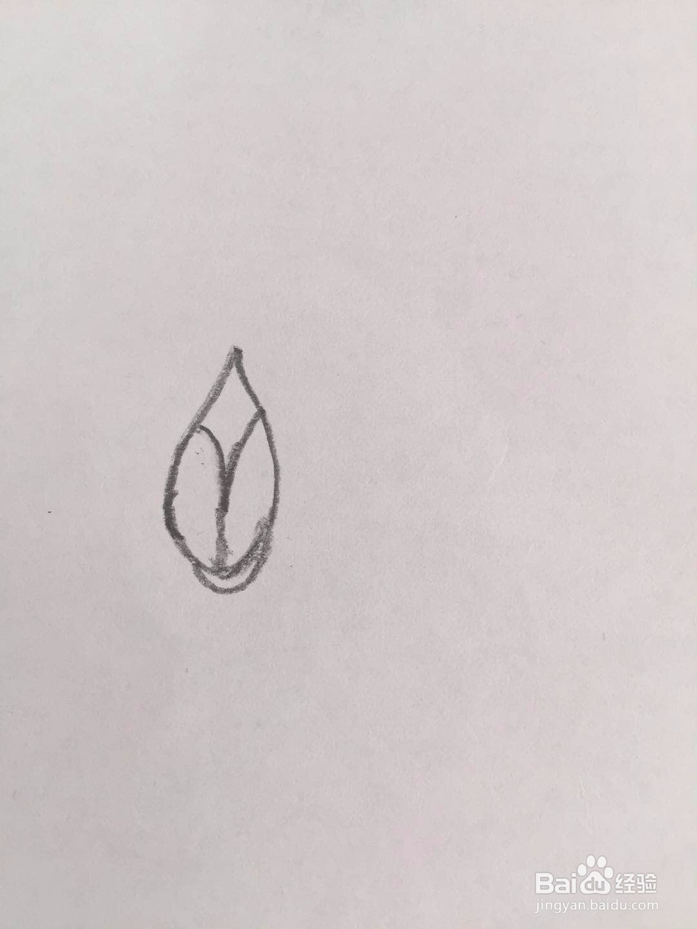 简笔画荷花的画法步骤