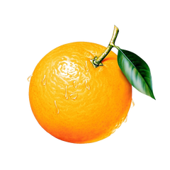 这几种水果加热吃比药还管用