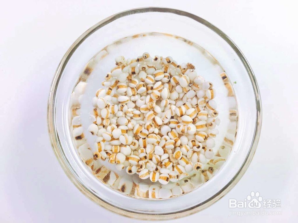 适合宝宝的冬瓜薏米排骨