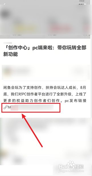 闲鱼创作者中心电脑端链接怎么查看